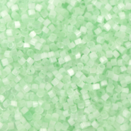 Miyuki Perlen delica's 11/0 Silk satin mint green DB-828