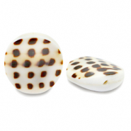 Muschel Perlen 20mm White brown