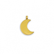 Stainless Steel - Rostfrei Stahl Anh&auml;nger La Luna Mond Gold