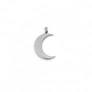 Stainless Steel - Rostfrei Stahl Anh&auml;nger La Luna Mond Silver