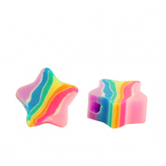 Polymer Perlen Stern Multicolour