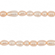 BQ S&uuml;&szlig;wasserperlen Rice 4-7x4-5mm Peach rose