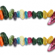Muschel Perlen Chipstone Multicolour