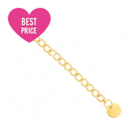 Stainless Steel - Rostfreiem Stahl Schmuckzubeh&ouml;r Verl&auml;ngerungskette coin 6mm Gold