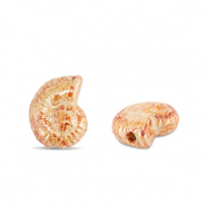 DQ Griechische Keramik Perlen Muschel Orange