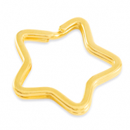 Metall Zubeh&ouml;r DQ Schl&uuml;ssel Anh&auml;nger Stern Gold (Nickelfrei)