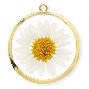 Anh&auml;nger mit getrockneter Blume 34 mm Gold-white-soft orange