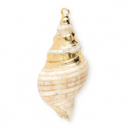 Muschel Anh&auml;nger Specials Wellhornschnecke Beige-gold