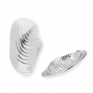 Stainless Steel - Rostfrei Stahl Anh&auml;nger Muschel Silver