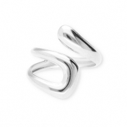 Ringe aus Stainless Steel - Rostfreiem Stahl Silver