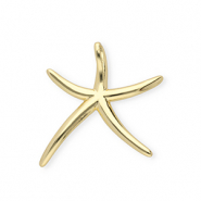 Brass TQ Metall Anhänger Seestern Gold