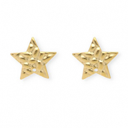 Rostfreier Edelstahl Schmuckzubehör Ohrringe / Ohrstecker Stern mit Öse Gold