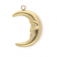 Anhänger aus rostfreiem Edelstahl, Mond Gold