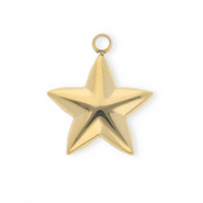 Anhänger aus rostfreiem Edelstahl, Stern Gold