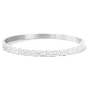 Armb&auml;nder aus Stainless Steel - Rostfreiem Stahl Schlange Silber