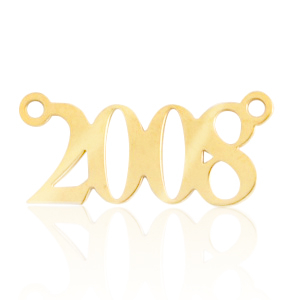 Stainless Steel - Rostfrei Stahl Anh&auml;nger / Zwischenst&uuml;ck Jahr 2008 Gold