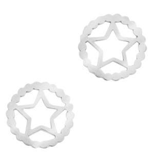 Stainless Steel - Rostfrei Stahl Anh&auml;nger/Zwischenst&uuml;ck Stern Silber