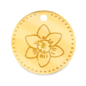 Plexx Anh&auml;nger 20mm Geburtsblume Dezember-Narzisse Gold