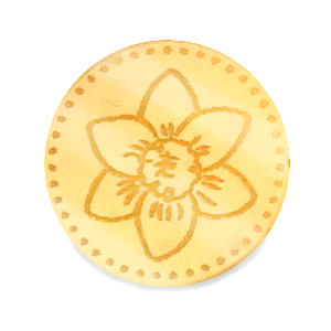 Plexx Cabochons 20mm Geburtsblume Dezember-Narzisse Gold