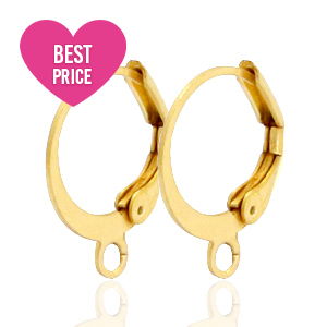 Stainless Steel - Rostfreiem Stahl Schmuckzubeh&ouml;r Ohrh&auml;nger verschliessbar mit &Ouml;se Gold