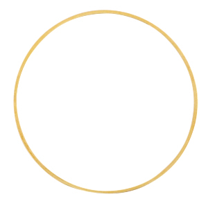 Metall Zubeh&ouml;r DQ Ring 40mm Gold (Nickelfrei)