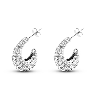 Ohrringe / Ohrstecker aus Stainless Steel - Rostfreiem Stahl Silver