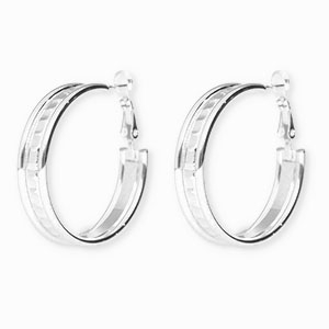 Ohrringe aus rostfreiem Edelstahl / Creolen Silver