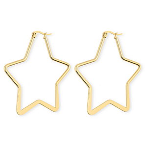 Ohrringe aus rostfreiem Edelstahl / Creolen Stern Gold