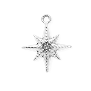 Anh&auml;nger aus rostfreiem Edelstahl mit Strass, Stern Silver-crystal